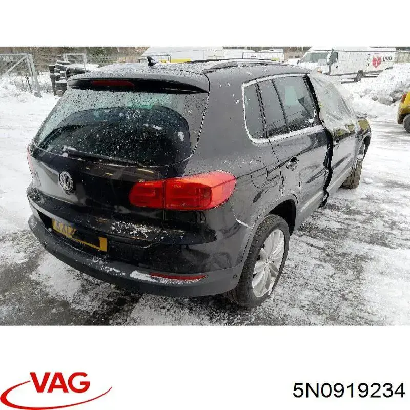  VAG 5N0919234 precio, desde 42,11 EUR