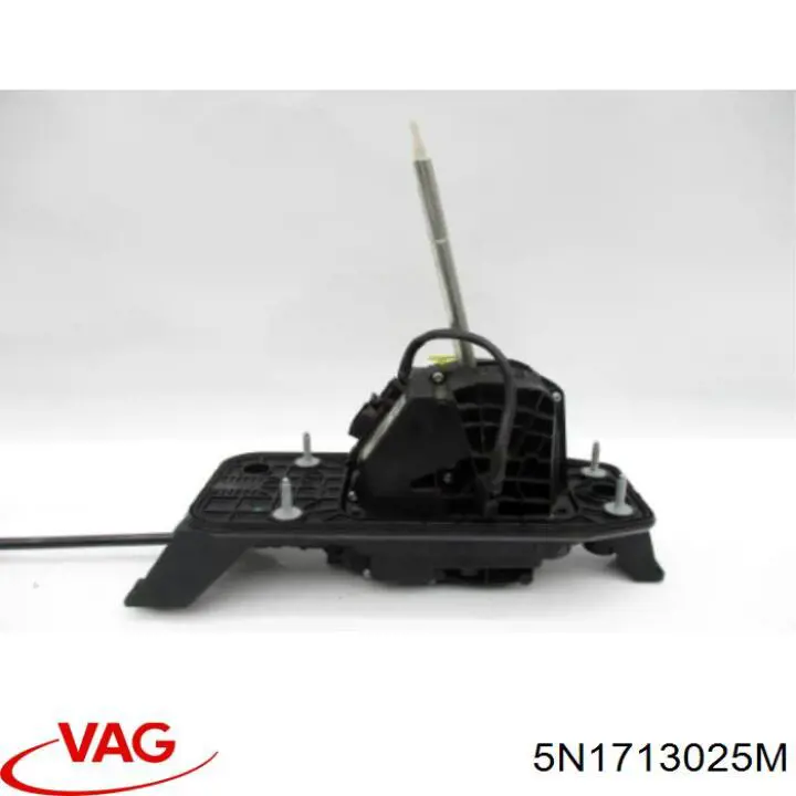 5N1713025M VAG