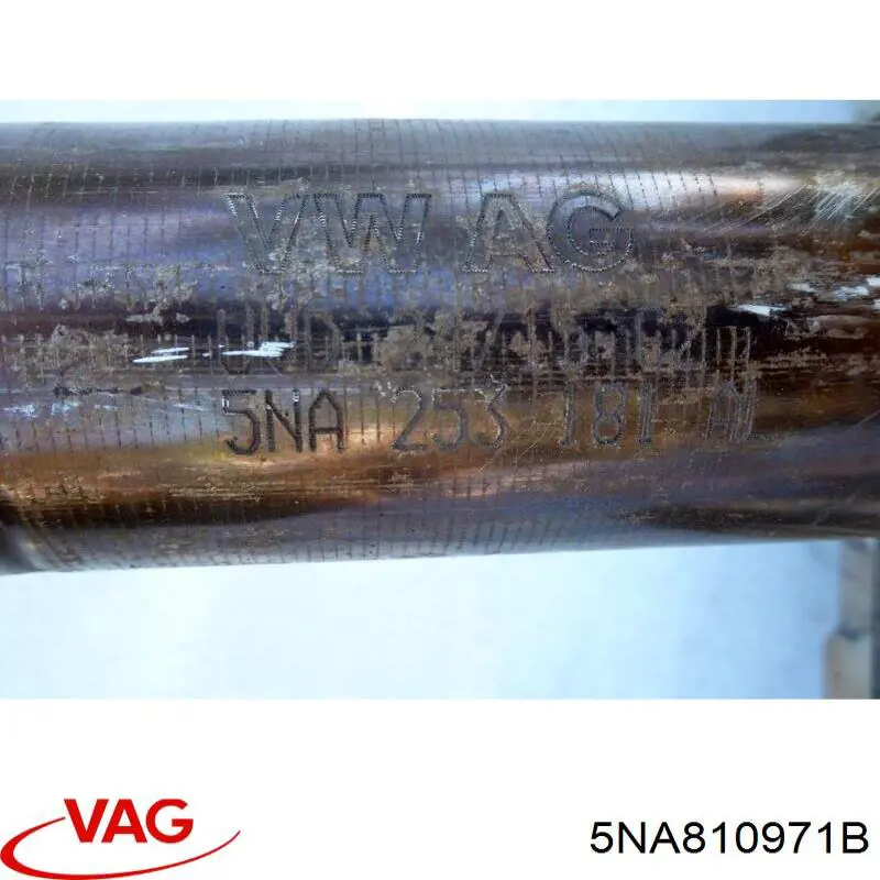 5NA810971C VAG 