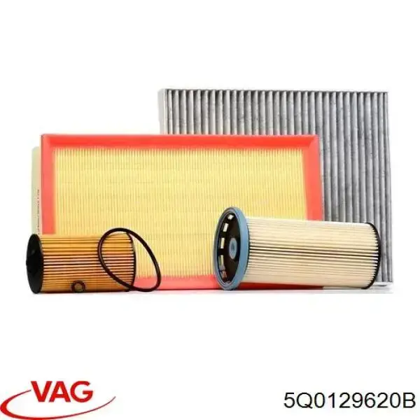 Filtro de aire Volkswagen Tiguan BW2, BJ2