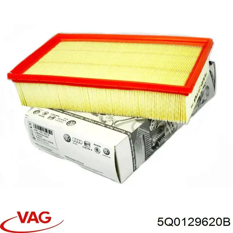 Filtro de aire Volkswagen Tiguan BW2, BJ2