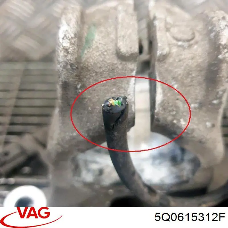 Protector de disco de freno delantero derecho 5Q0615312F VAG