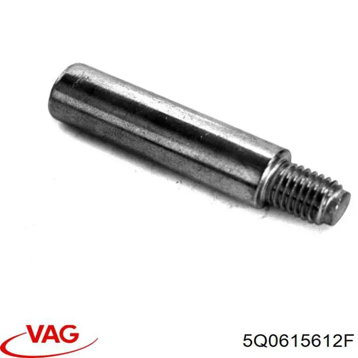 Protector de disco de freno trasero derecho 5Q0615612F VAG