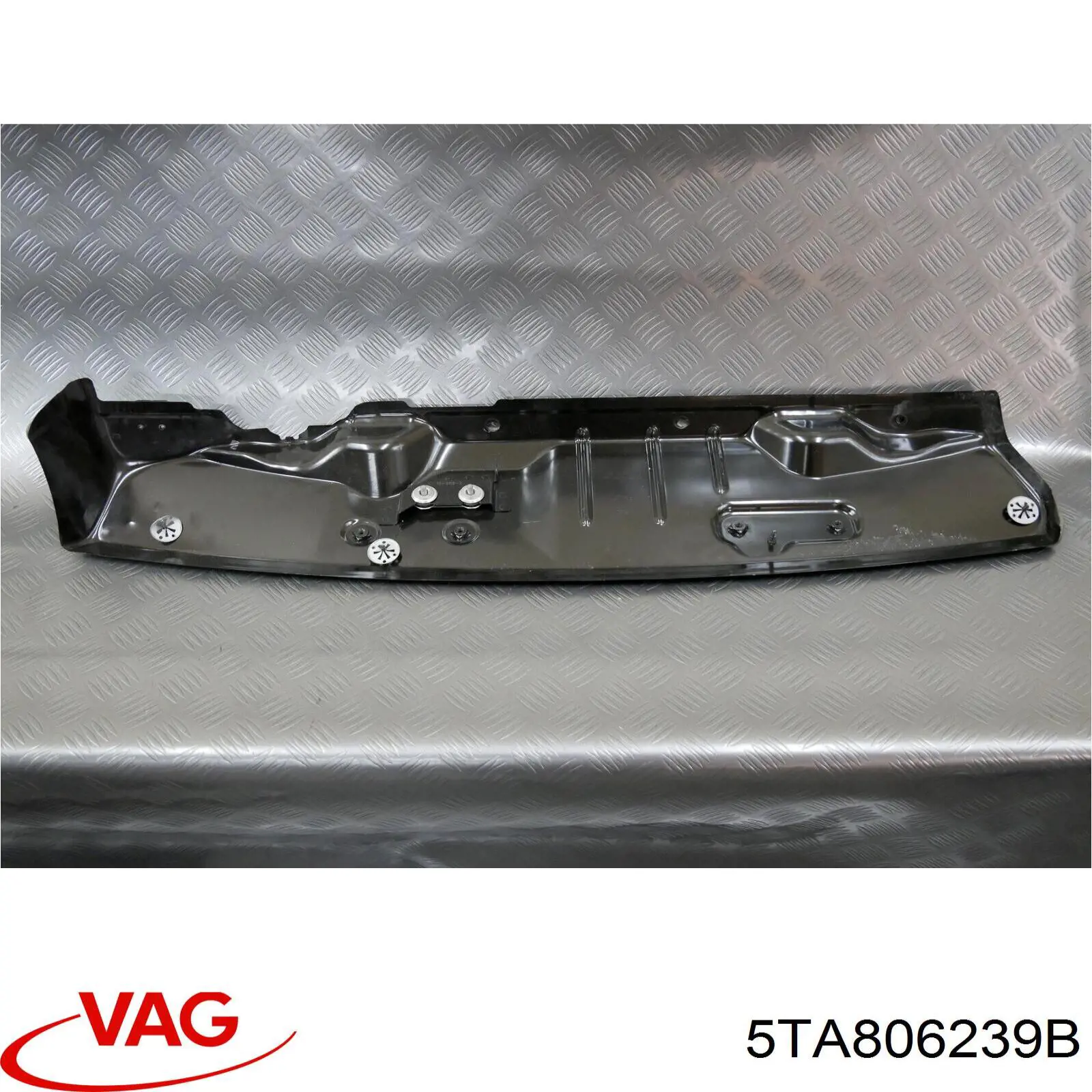 5TA806239B VAG 