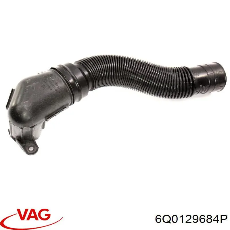 6Q0129684P VAG 