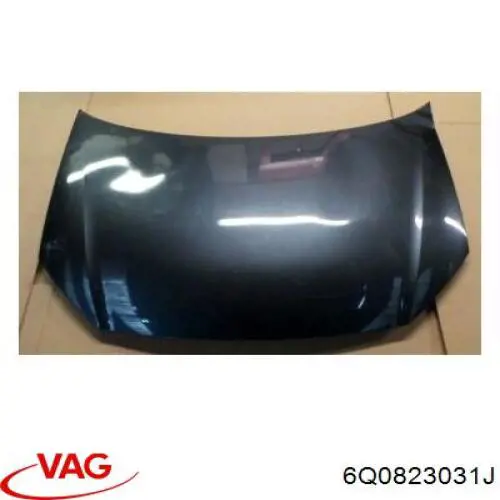 Capó del motor VAG 6Q0823031J precio, desde 204,73 EUR