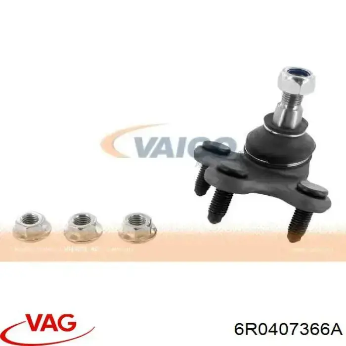 Comprar 6R0407366A VAG Rótula de suspensión inferior derecha