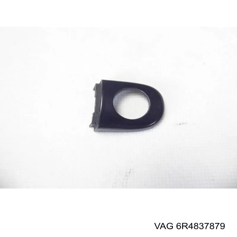 Manija exterior izquierda de puerta delantera 6R4837879 VAG