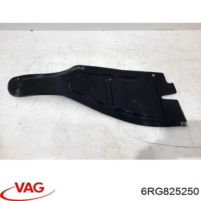 6RG825250 VAG