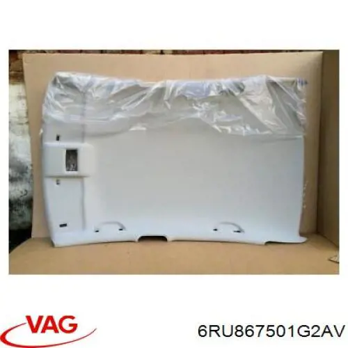 Comprar 6RU867501CPD6 VAG Techo interior