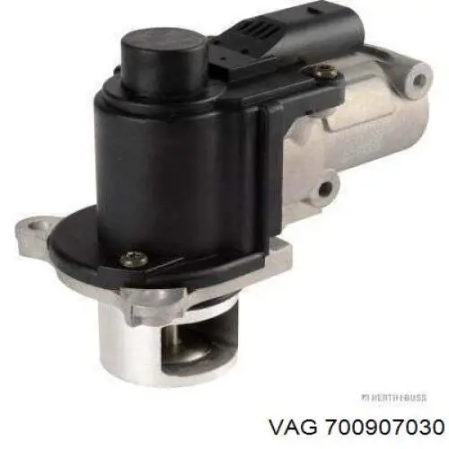 Comprar 700907030 VAG Válvula EGR