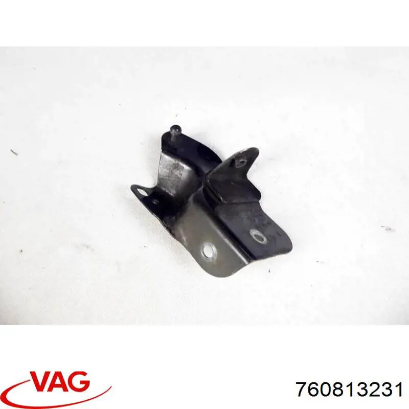  VAG 760813231