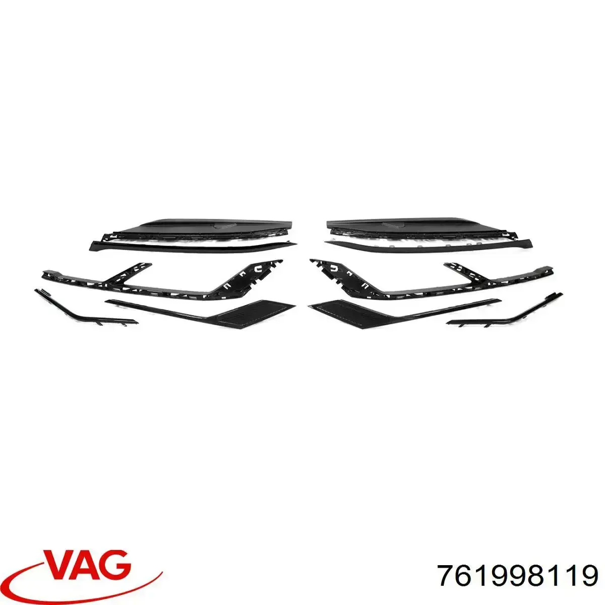 761998119 VAG 