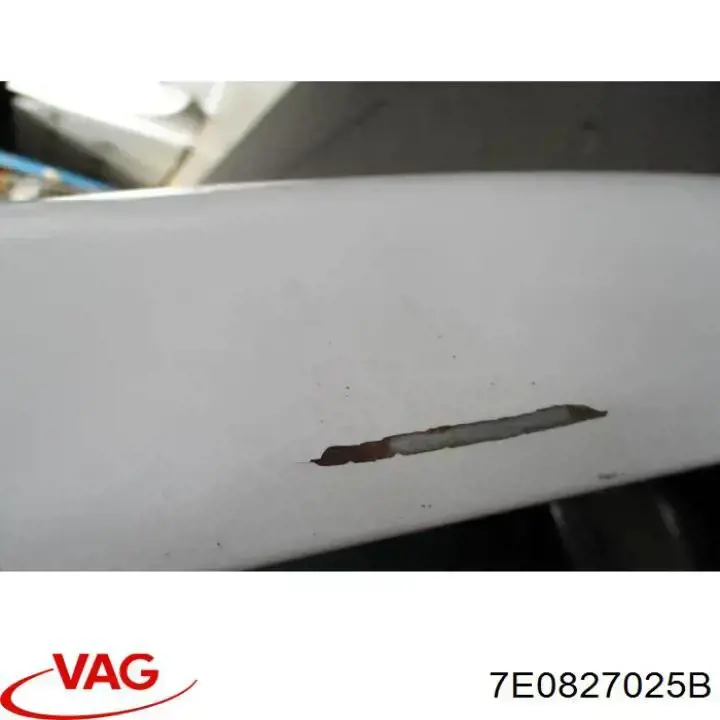 Puerta trasera Volkswagen Transporter 