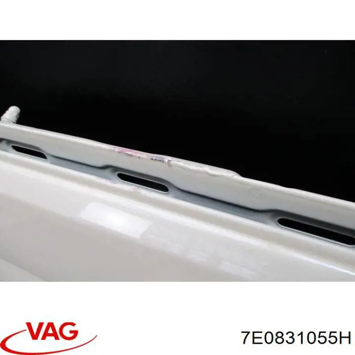 Puerta delantera izquierda 7LA831055C VAG
