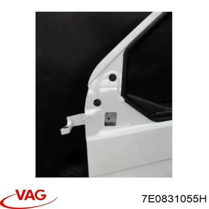 Puerta delantera izquierda 7LA831055C VAG