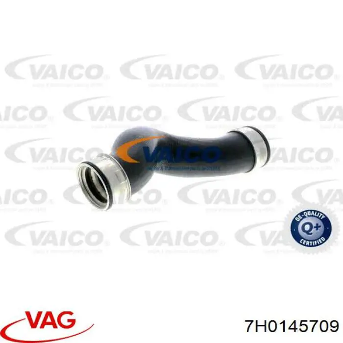 7H0145709 VAG tubo flexible de aire de sobrealimentación derecho
