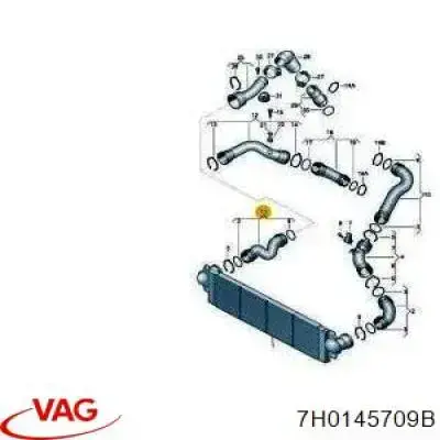 Tubo flexible de aire de sobrealimentación VAG 7H0145709B