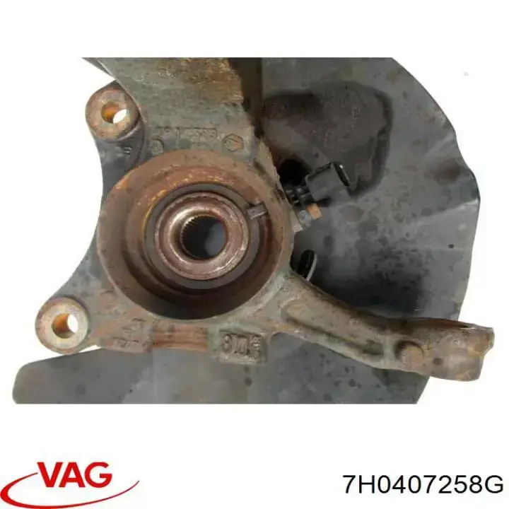 Mangueta delantera derecha VAG 7H0407258G precio, desde 91,92 EUR