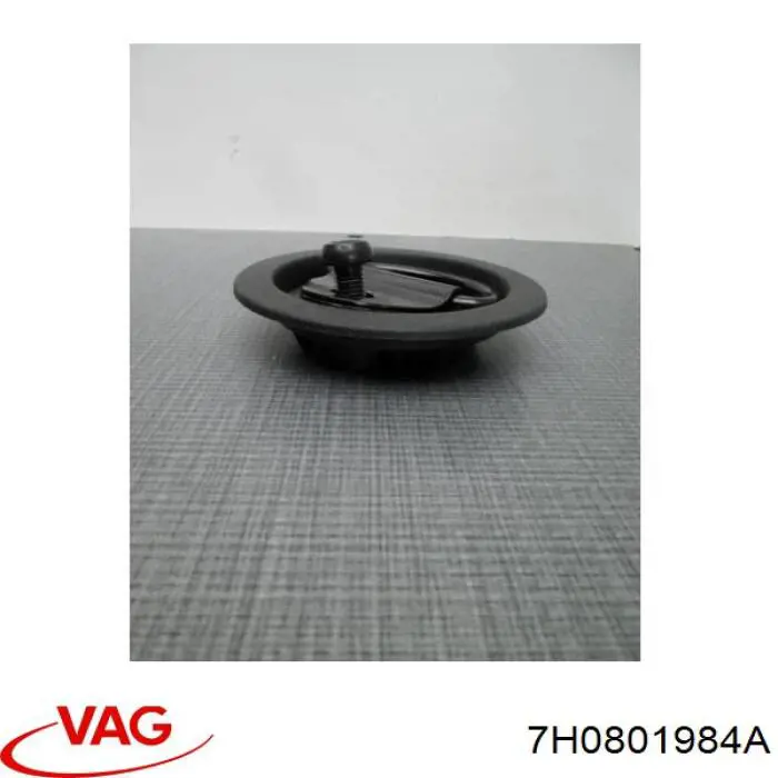  VAG 7H0801984A