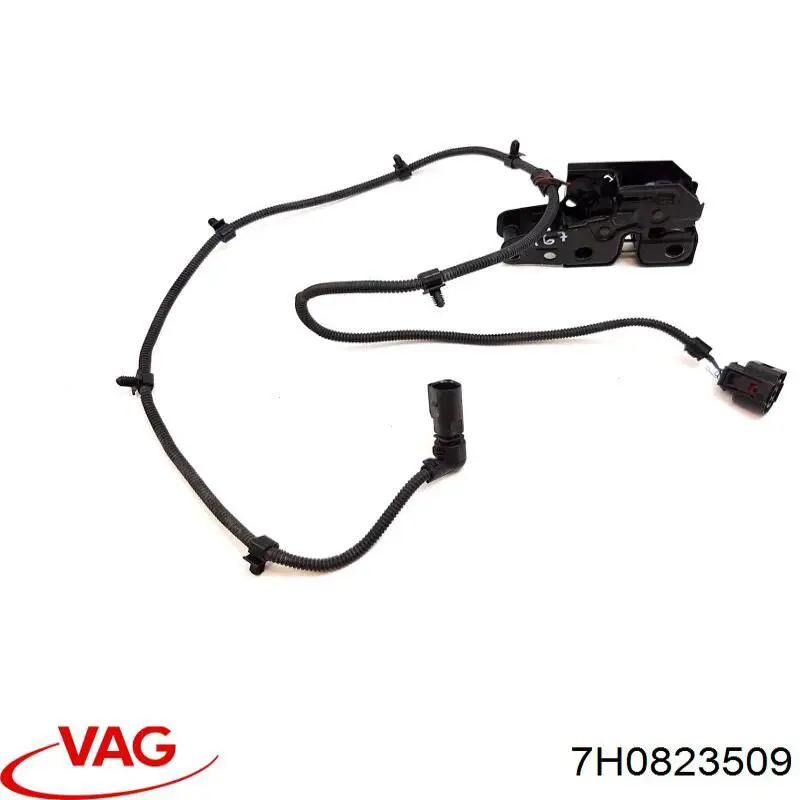 Cerradura de capó VAG 7H0823509 precio, desde 32,46 EUR