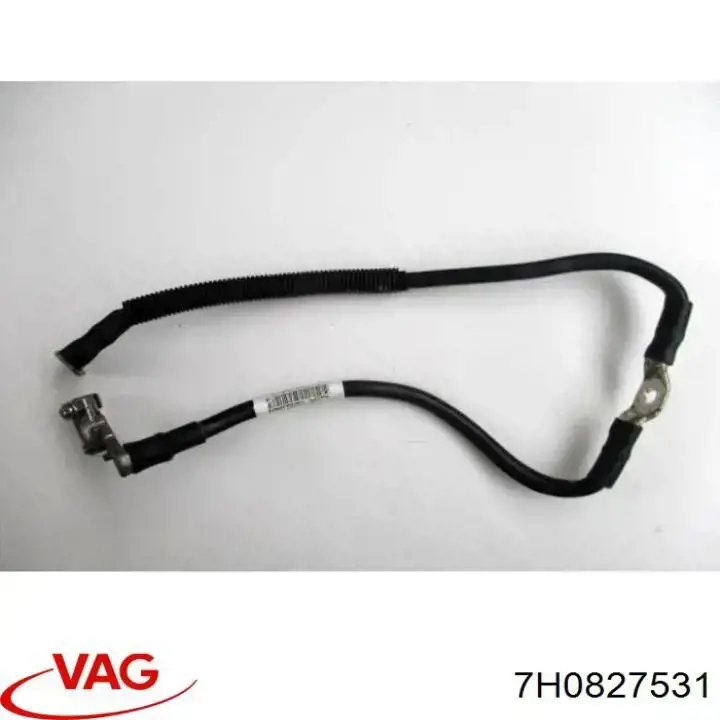  VAG 7H0827531