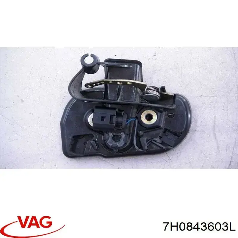 Pieza de enganche del pestillo de la puerta corrediza VAG 7H0843603P precio, desde 171,30 EUR