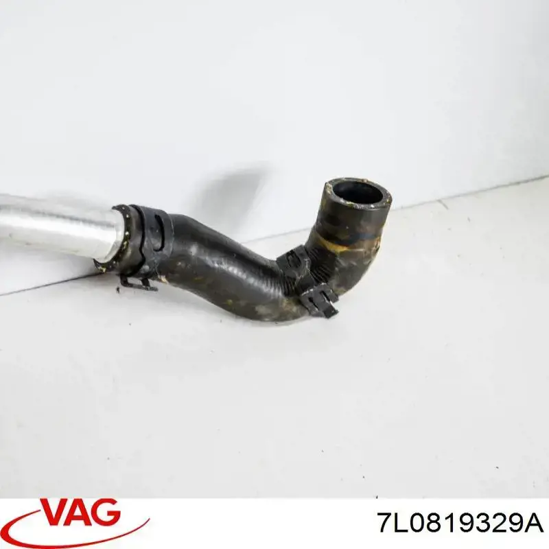 7L0819329A VAG Manguera inferior del radiador