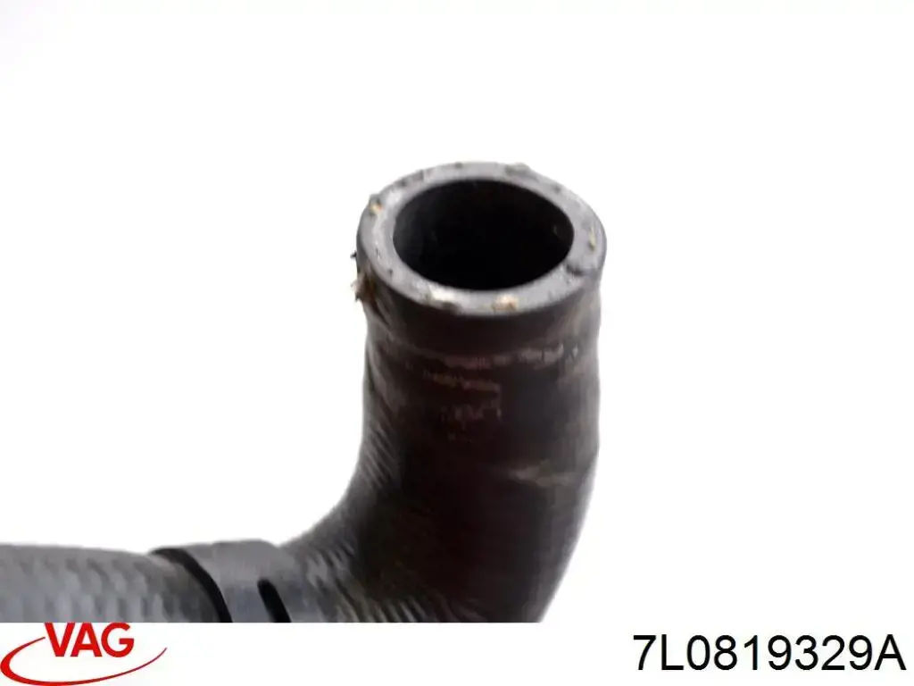 Comprar 7L0819329A VAG Manguera inferior del radiador