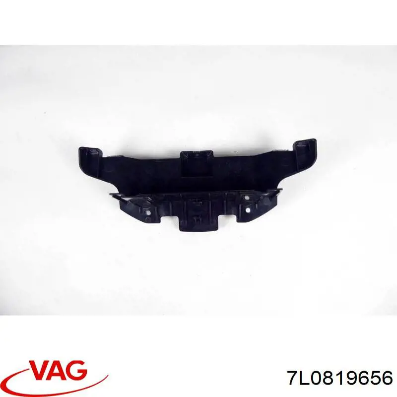  VAG 7L0819656