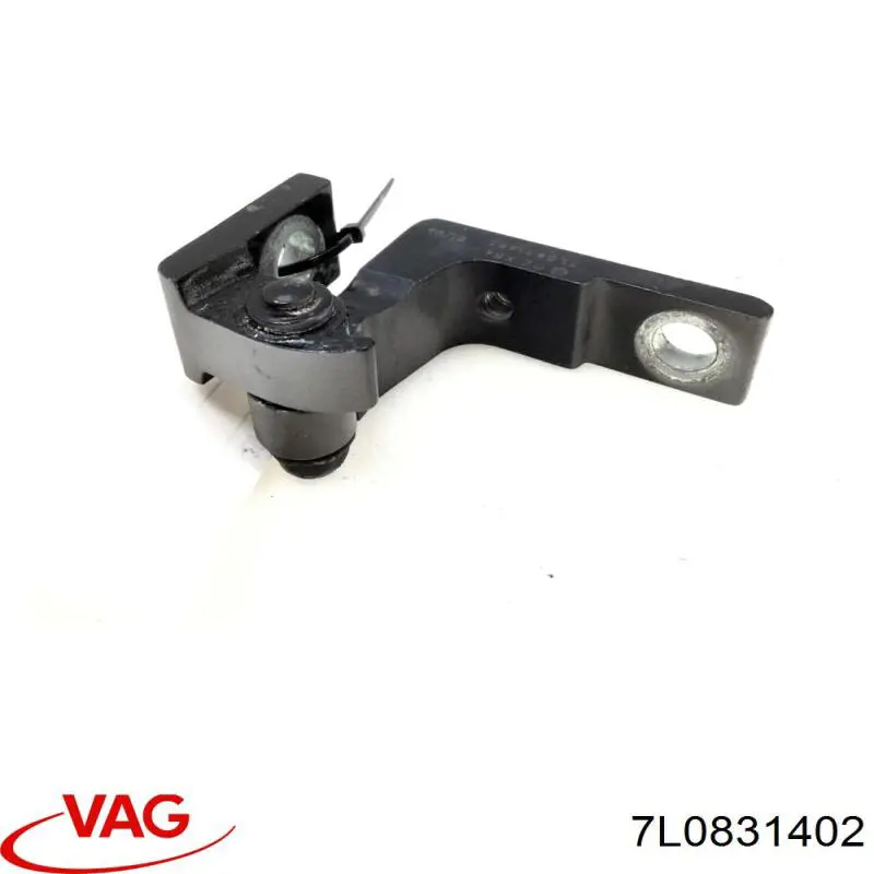 Bisagra de la puerta delantera derecha VAG 7L0831402B precio, desde 64,99 EUR