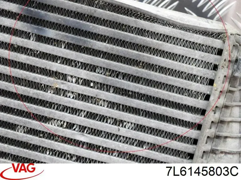 7L6145803C VAG Radiador de intercooler