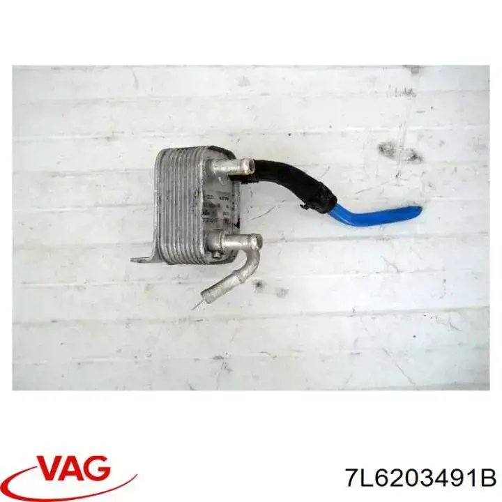 7L6203491B VAG 