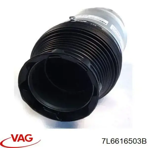 Comprar 7L6616503B VAG Bolsa de aire del eje trasero