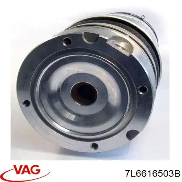 Bolsa de aire del eje trasero 7L6616503B VAG