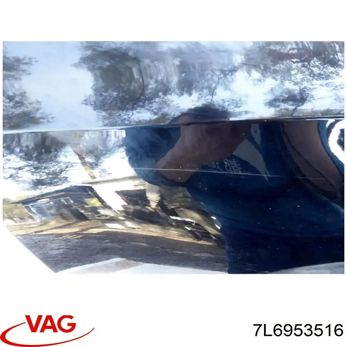 7L6953516 VAG 