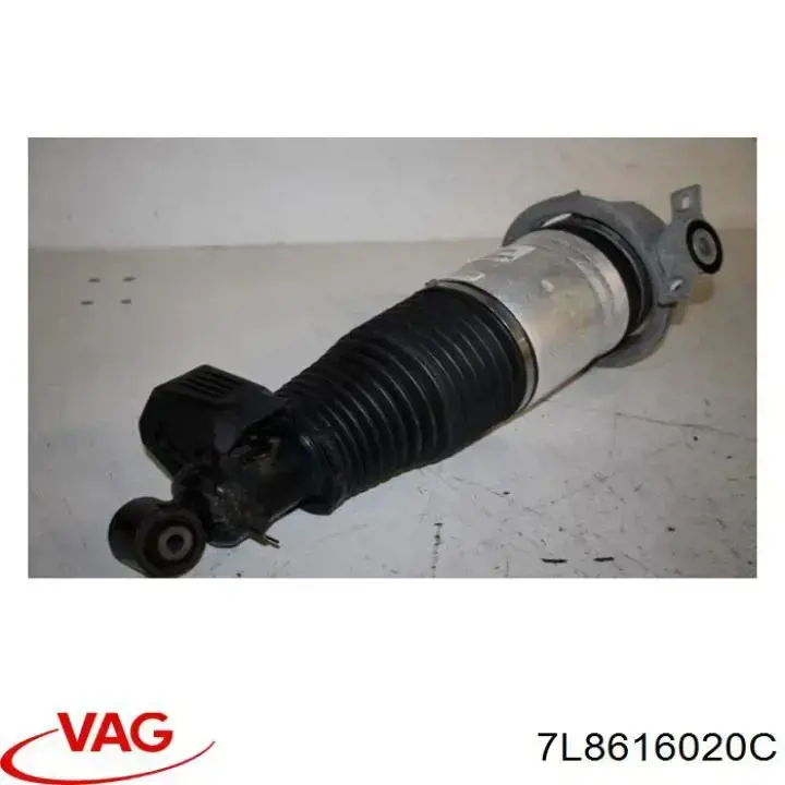 7L8616020C VAG amortiguador trasero derecho