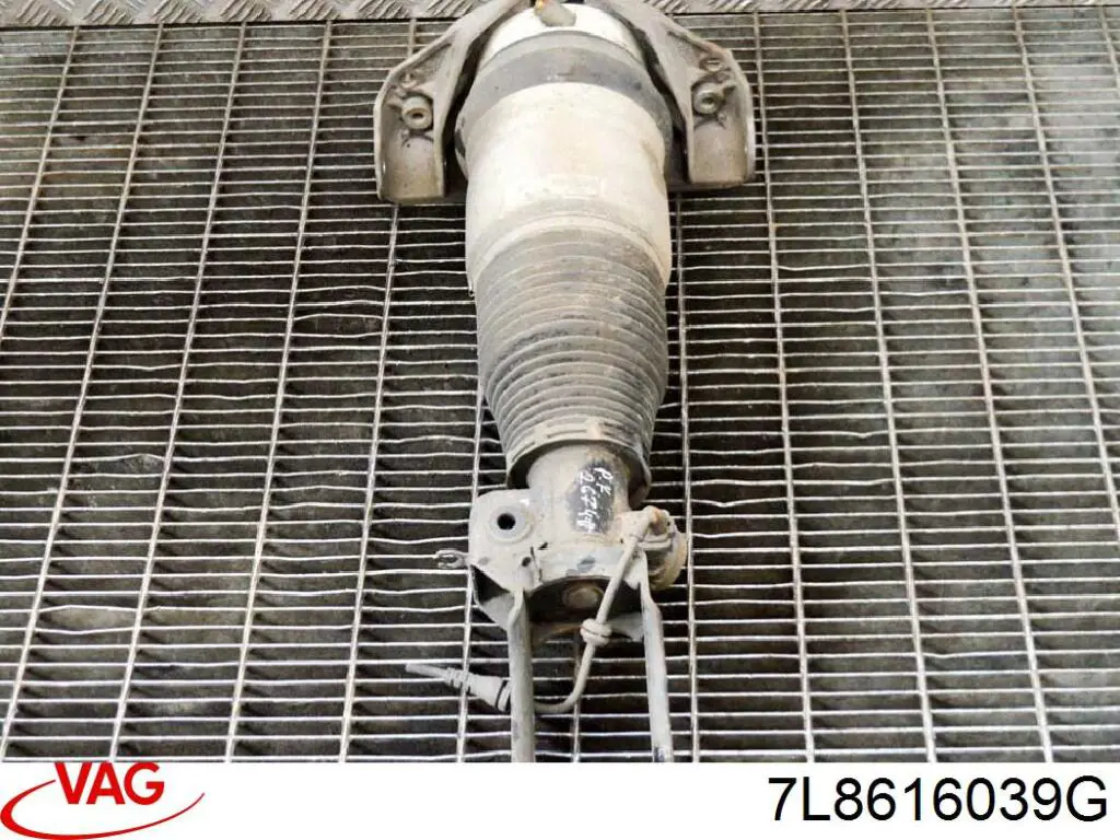 Amortiguador delantero izquierdo 60AS0023 Amity AP