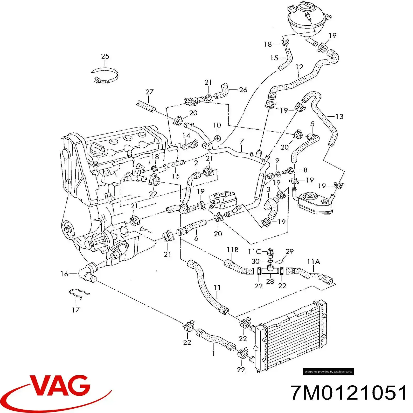 7M0121051 VAG manguera refrigerante para radiador inferiora