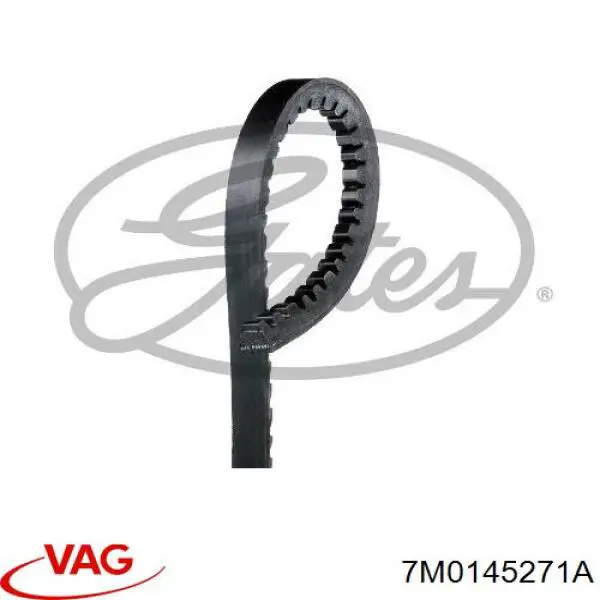 Correa de transmisión trapezoidal VAG 7M0145271A precio, desde 9,39 EUR