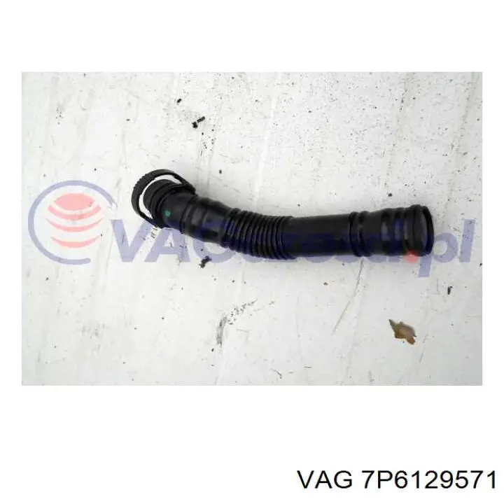 7P6129571 VAG 