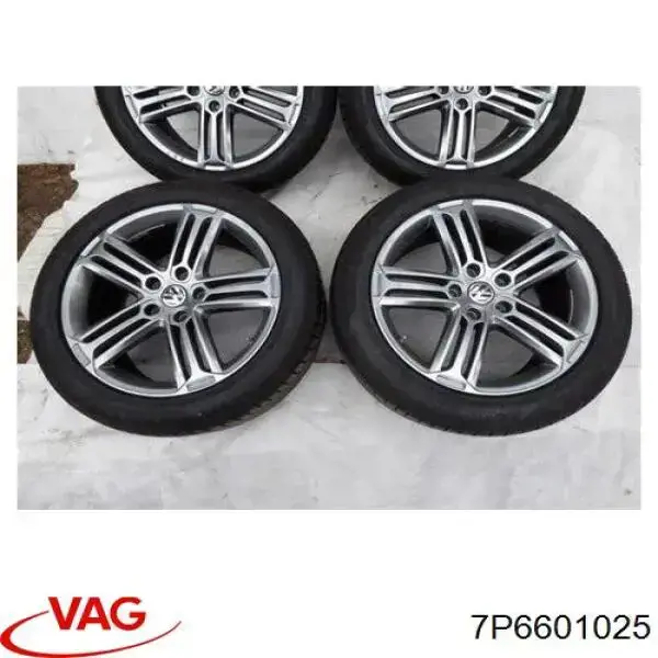 Rines VAG 7P6601025 precio, desde 312,18 EUR