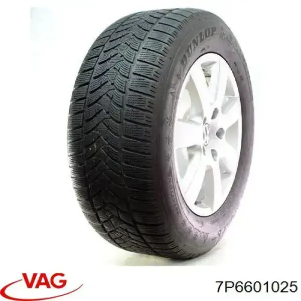 Rines VAG 7P6601025 precio, desde 312,18 EUR