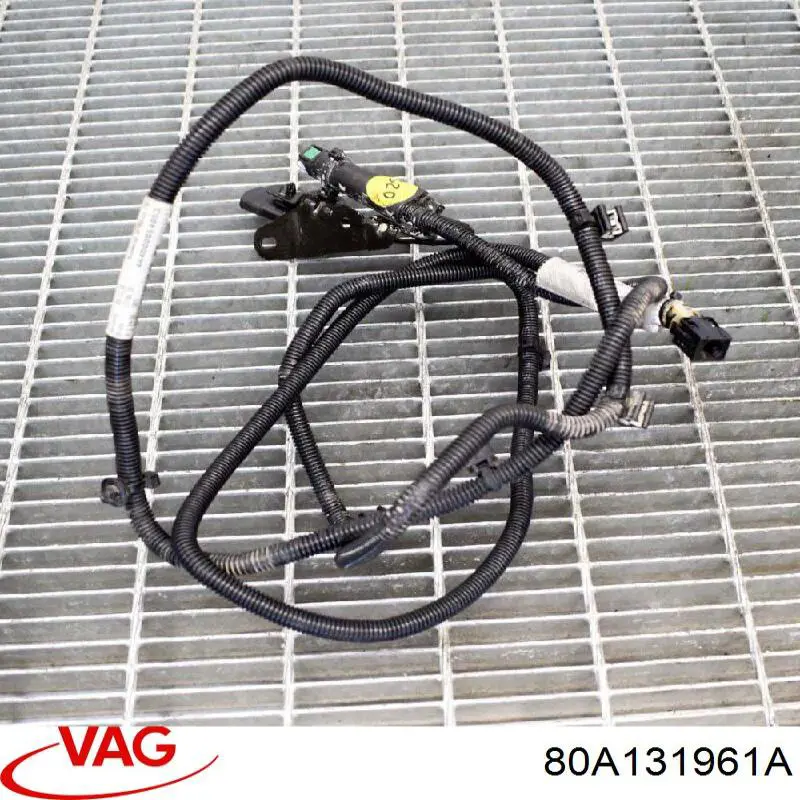 80A131961A VAG