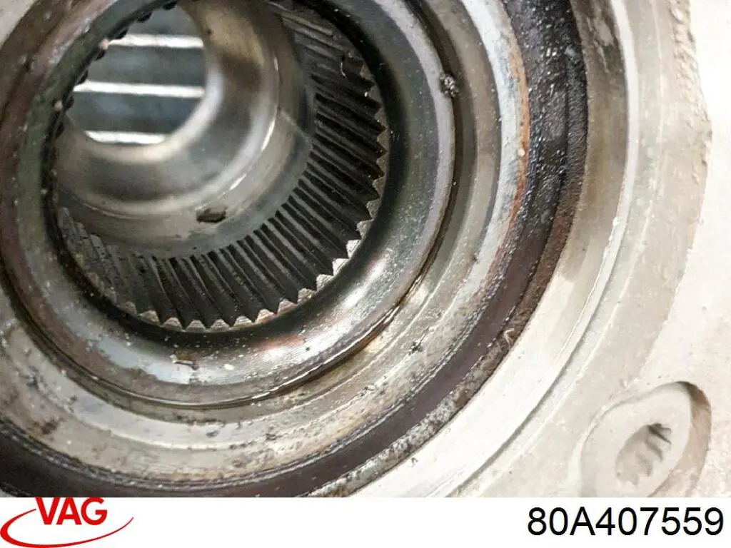 Mangueta delantera izquierda VAG 80A407559