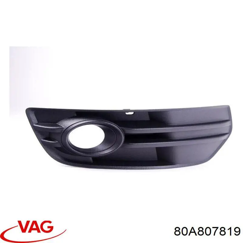 80A807819 VAG