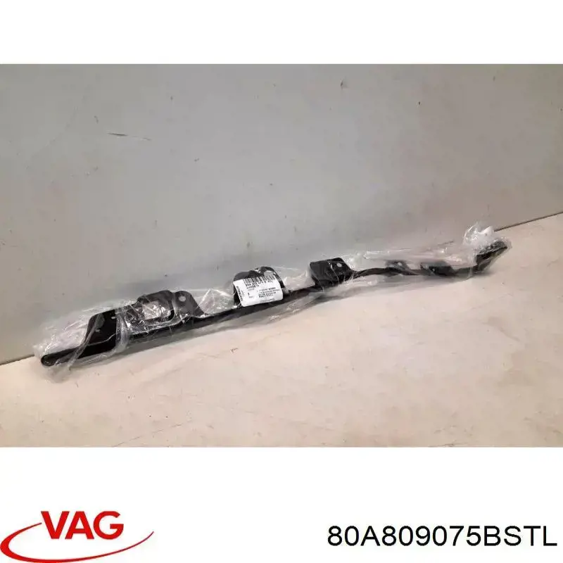  VAG 80A809075BSTL precio, desde 120,53 EUR