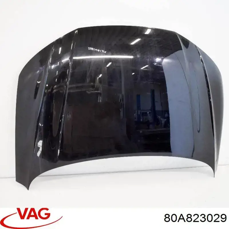 80A823029 VAG Capó delantero