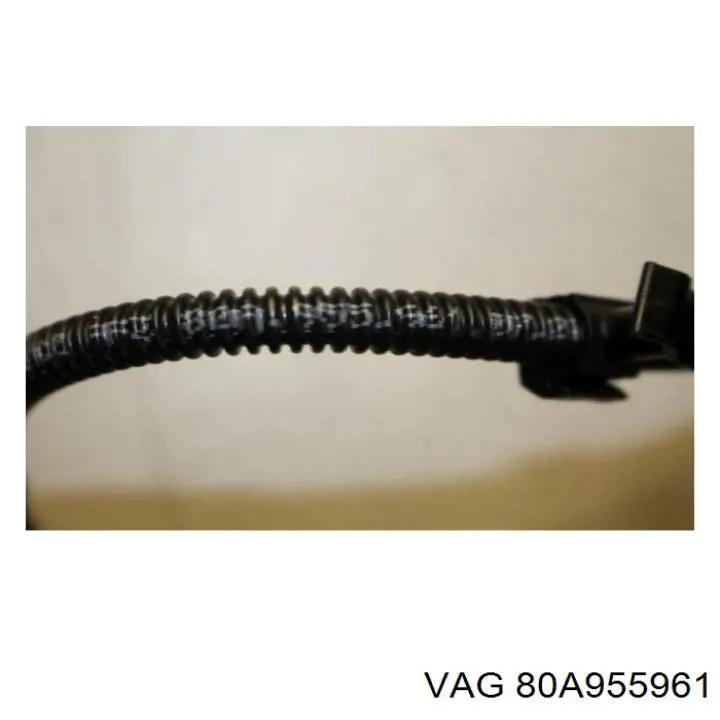 80A955961A VAG