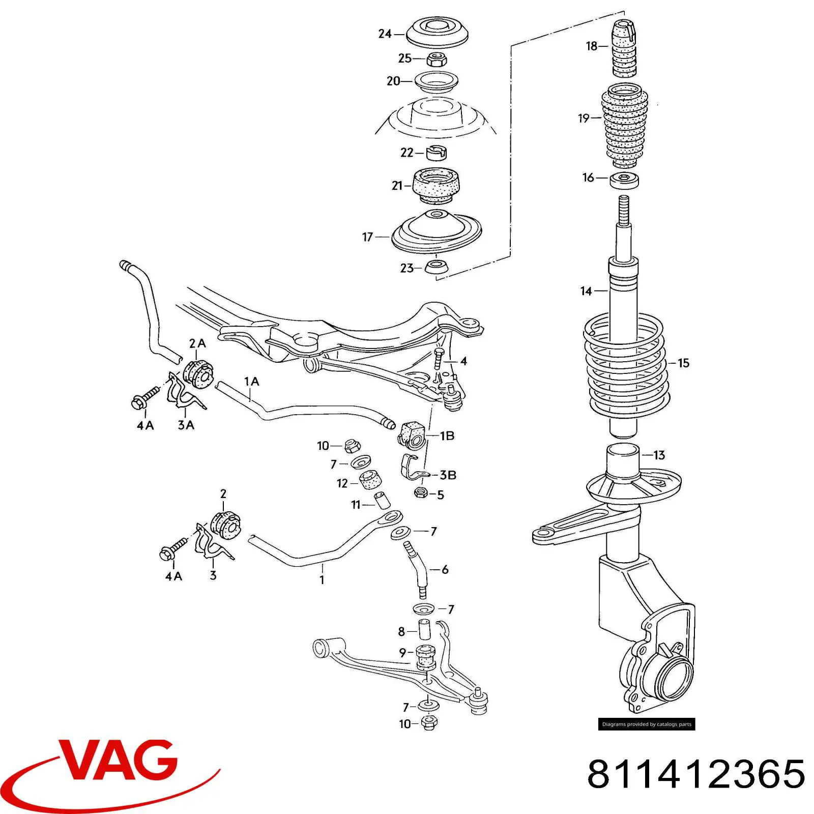 811412365 VAG Tuerca del vástago del amortiguador delantero